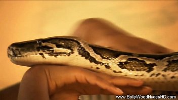 Best Snake Movies