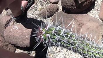 Cactus Boy Porn