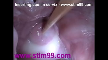 Porn Cervix Fucking