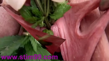Female Urethral Opening Images