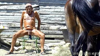 Gay Nude Horses Rides Xxx