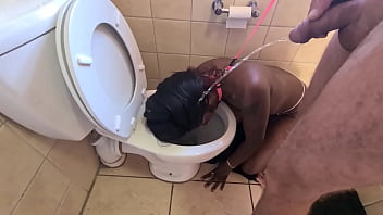 Girl Humiliation Porn Human Toilet