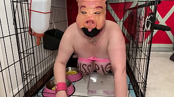 Site Porno Animaux Pig