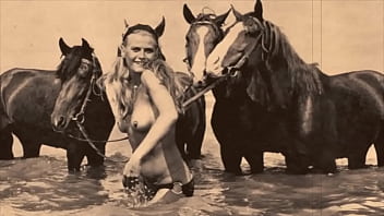 Porn Horse Vintage